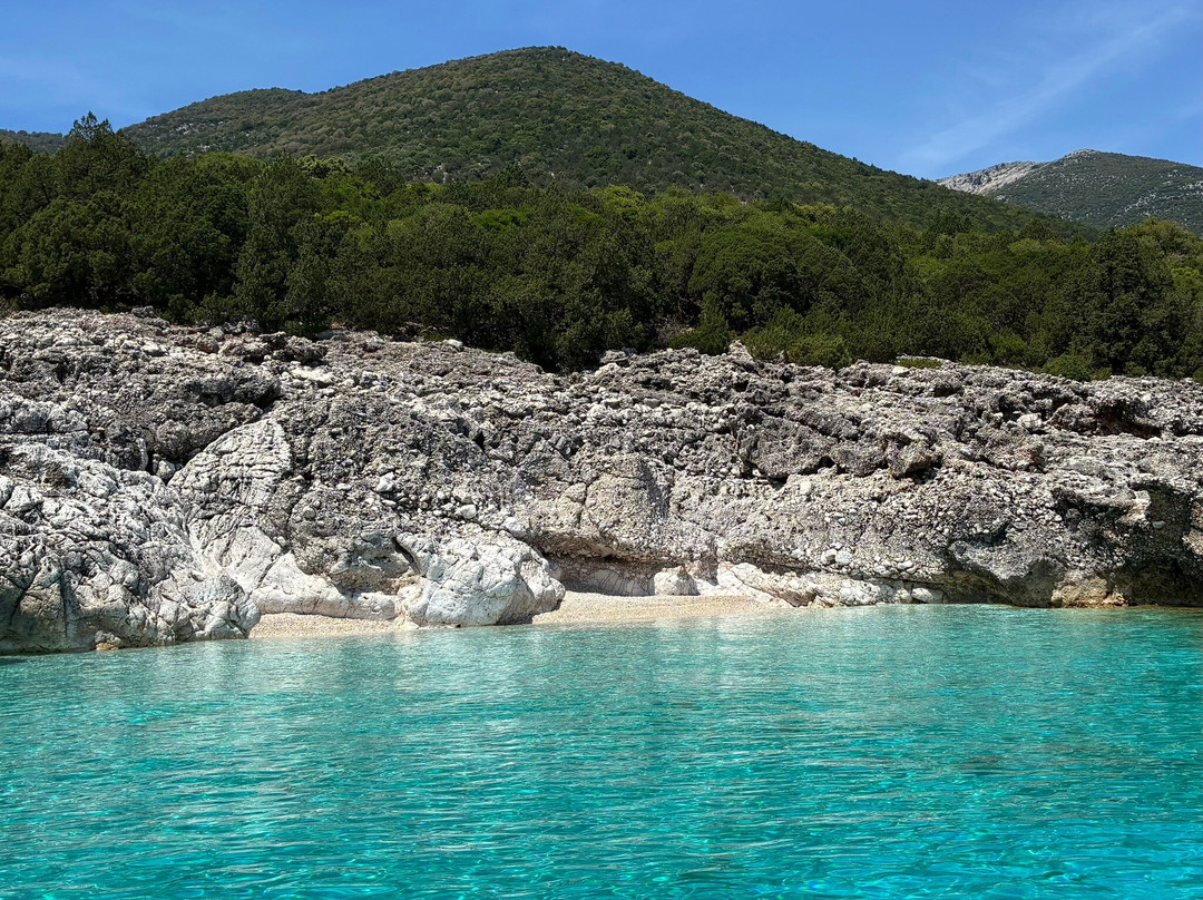 George's Boat Rentals