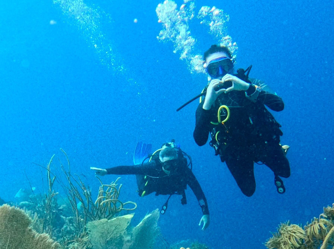 Central Dive Curacao-威廉斯塔德必去景点