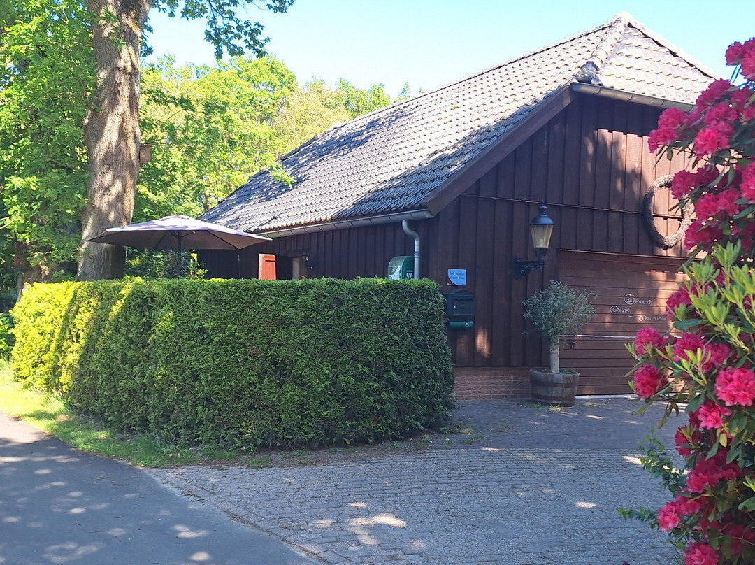 B&B de Drentse Es