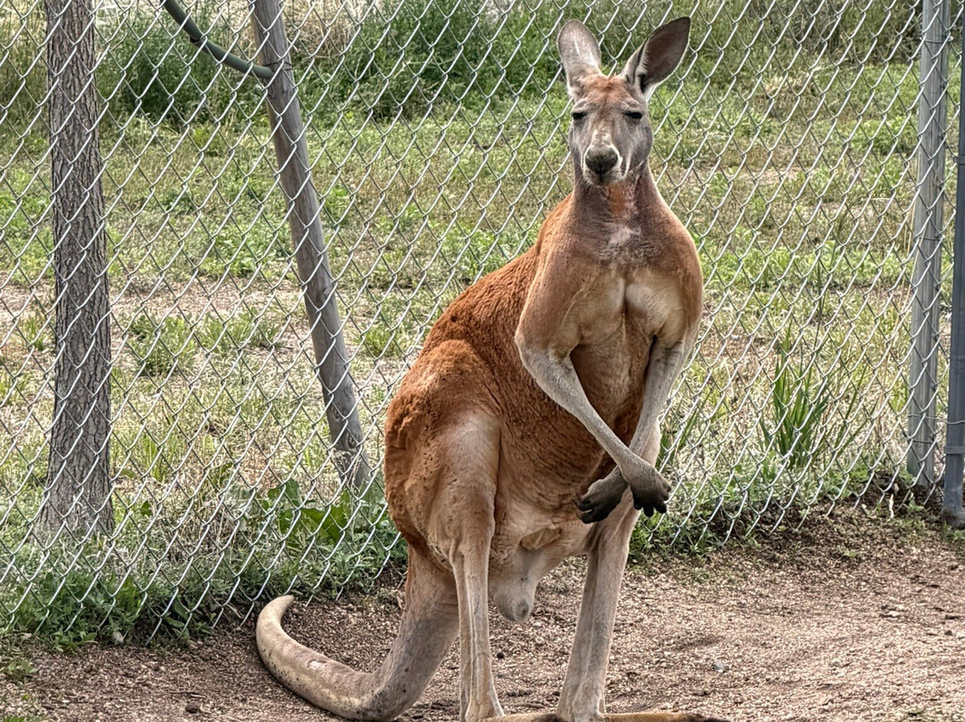 Equator's Edge Wildlife Center-Elizabeth必去景点