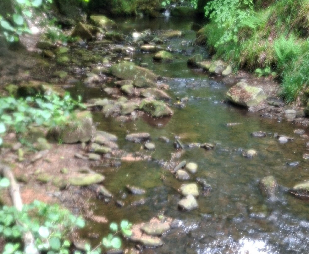 Falling Foss Tea Garden And Waterfall-惠特比必去景点