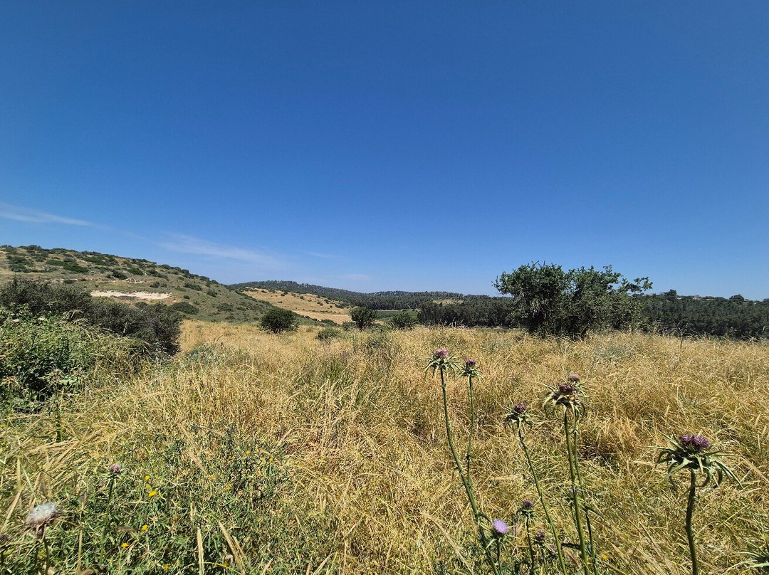 Adullam Grove Nature Reserve-Beit Shemesh必去景点