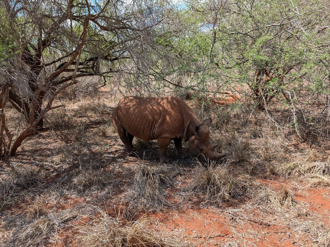 Mkomazi National Park-Gonja必去景点