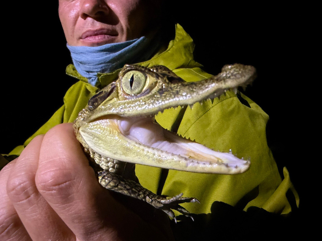 Amazon Jungle Johnny Tours-Puerto Narino必去景点