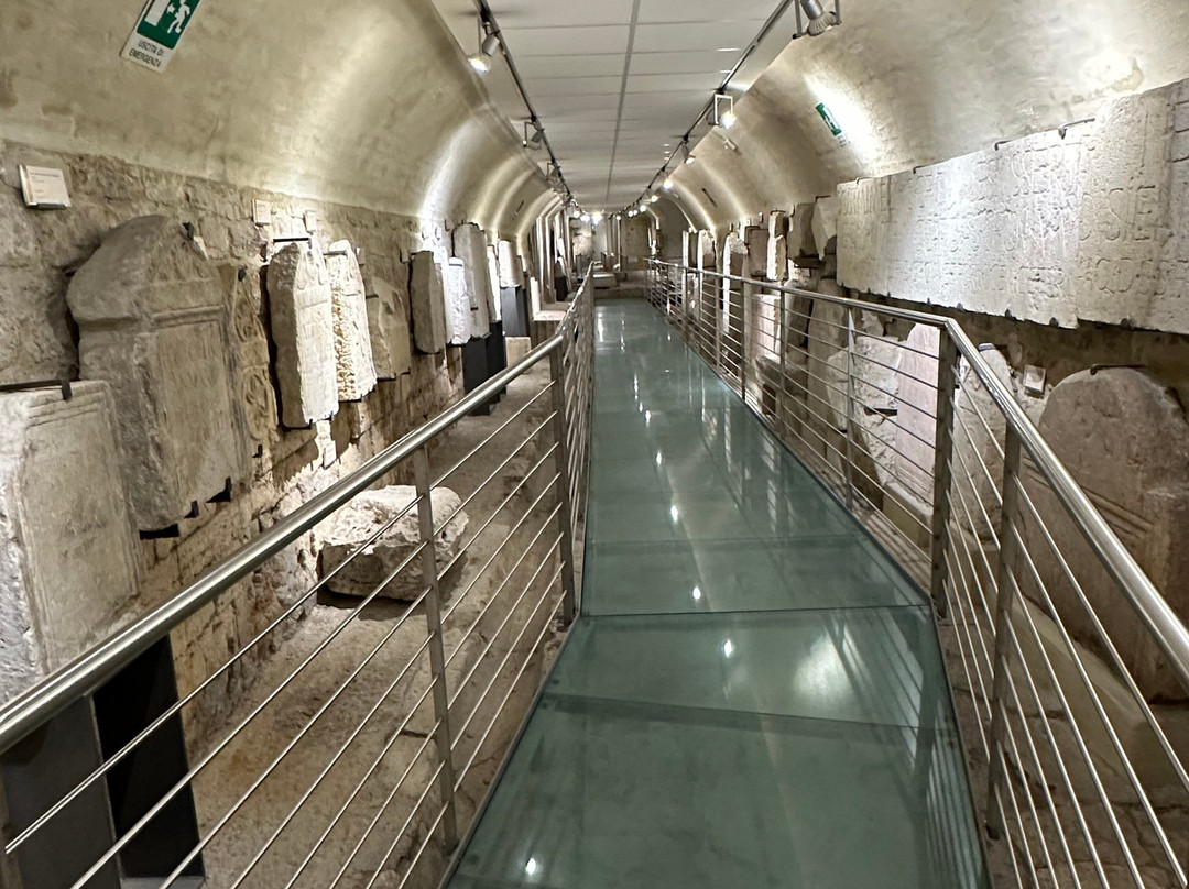 Museo e Foro Romano-阿西西必去景点