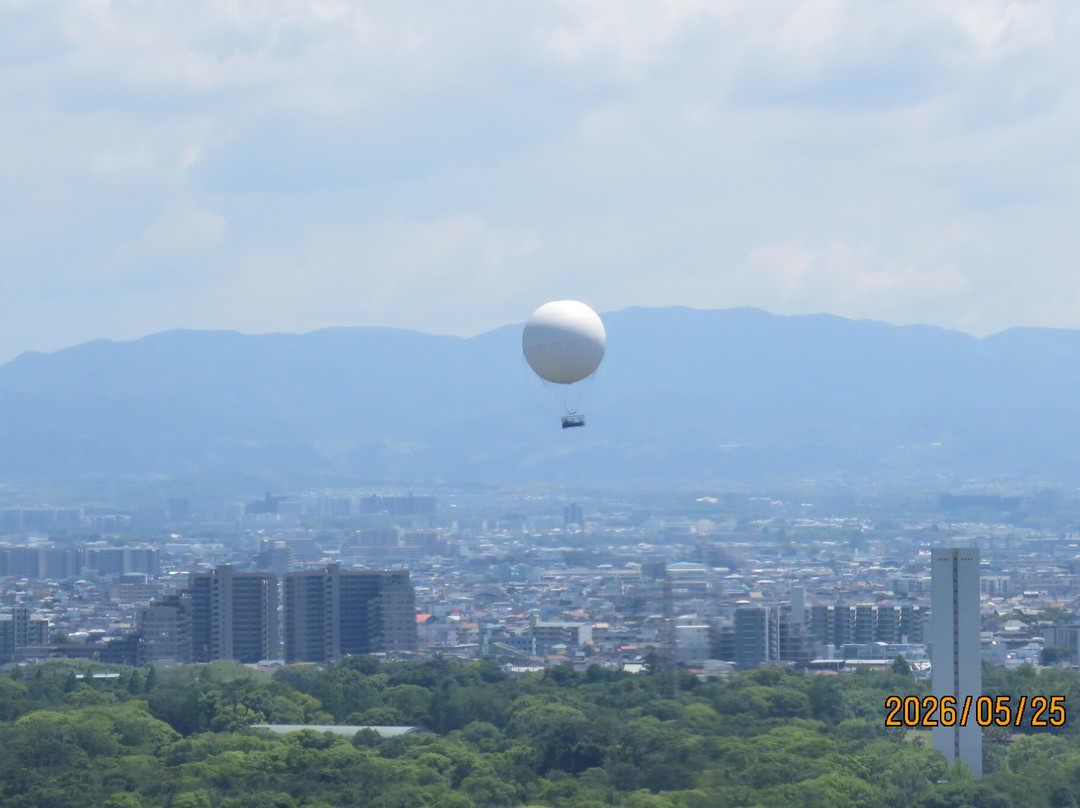 Sakai City Hall Observatory 21st Flour-坂井市必去景点