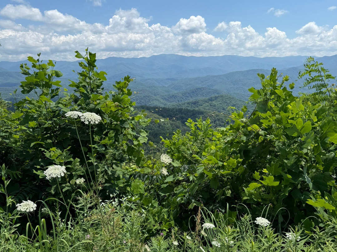 Foothills Parkway-大雾山国家公园必去景点