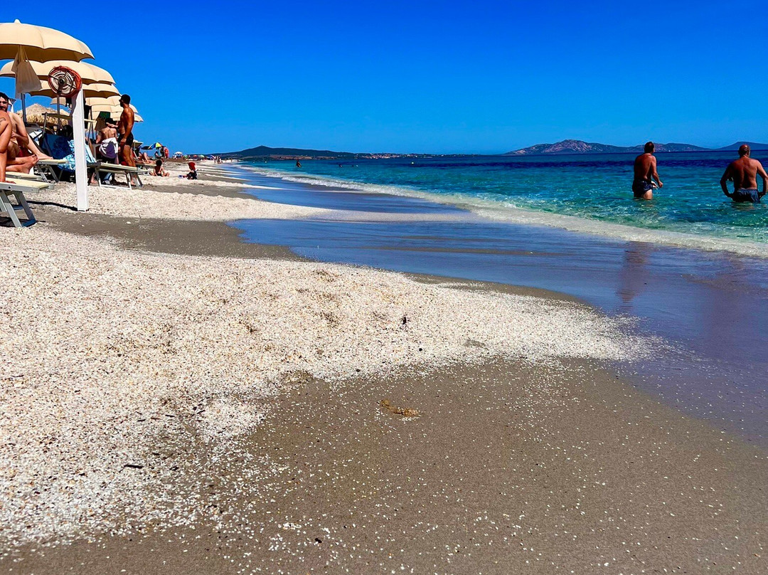 Spiaggia Ezzi Mannu-斯廷蒂诺必去景点