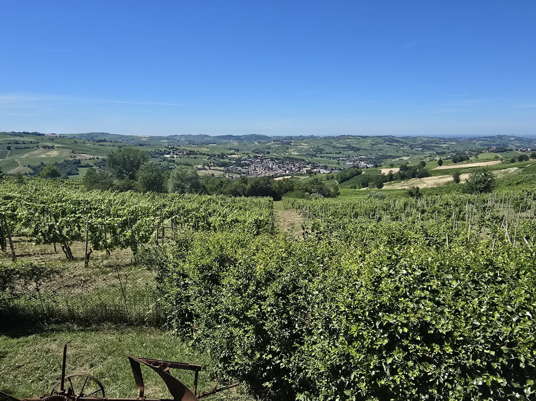 Tenuta Riccardi - Vini dal 1912-Santa Maria della Versa必去景点