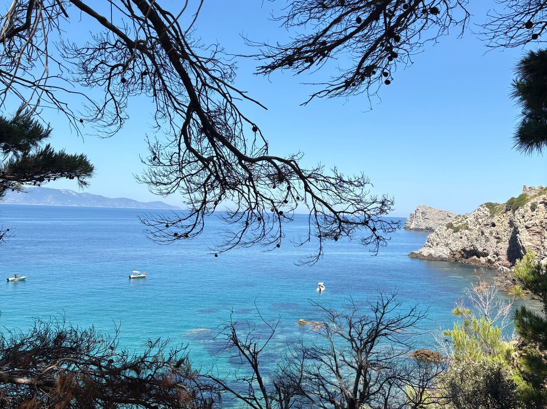 Cala del Gesso-圣托斯特凡诺港必去景点