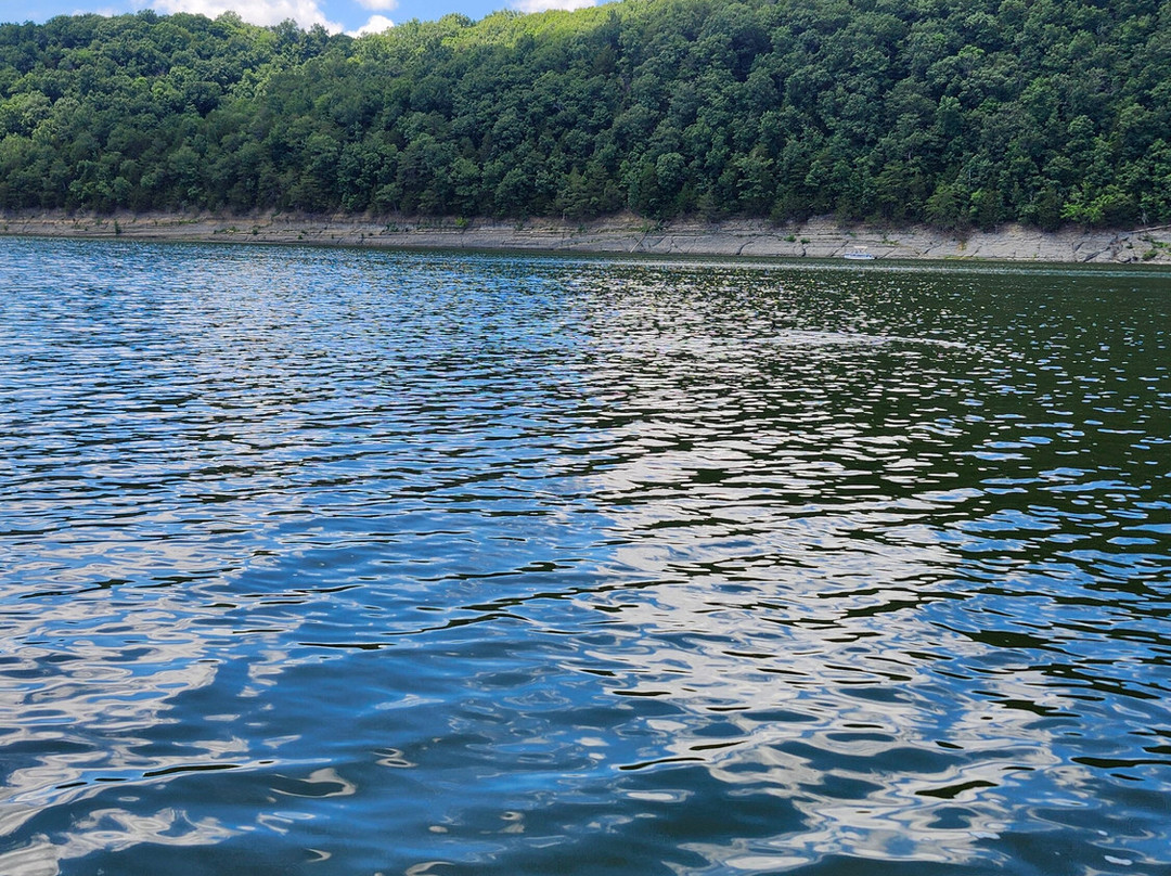 Holmes Bend Marina Cottages