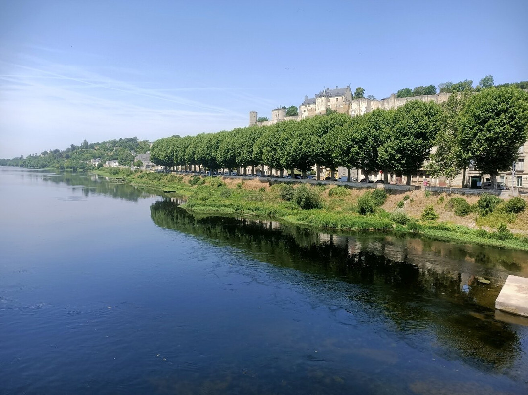 Forteresse Royale De Chinon-希农必去景点