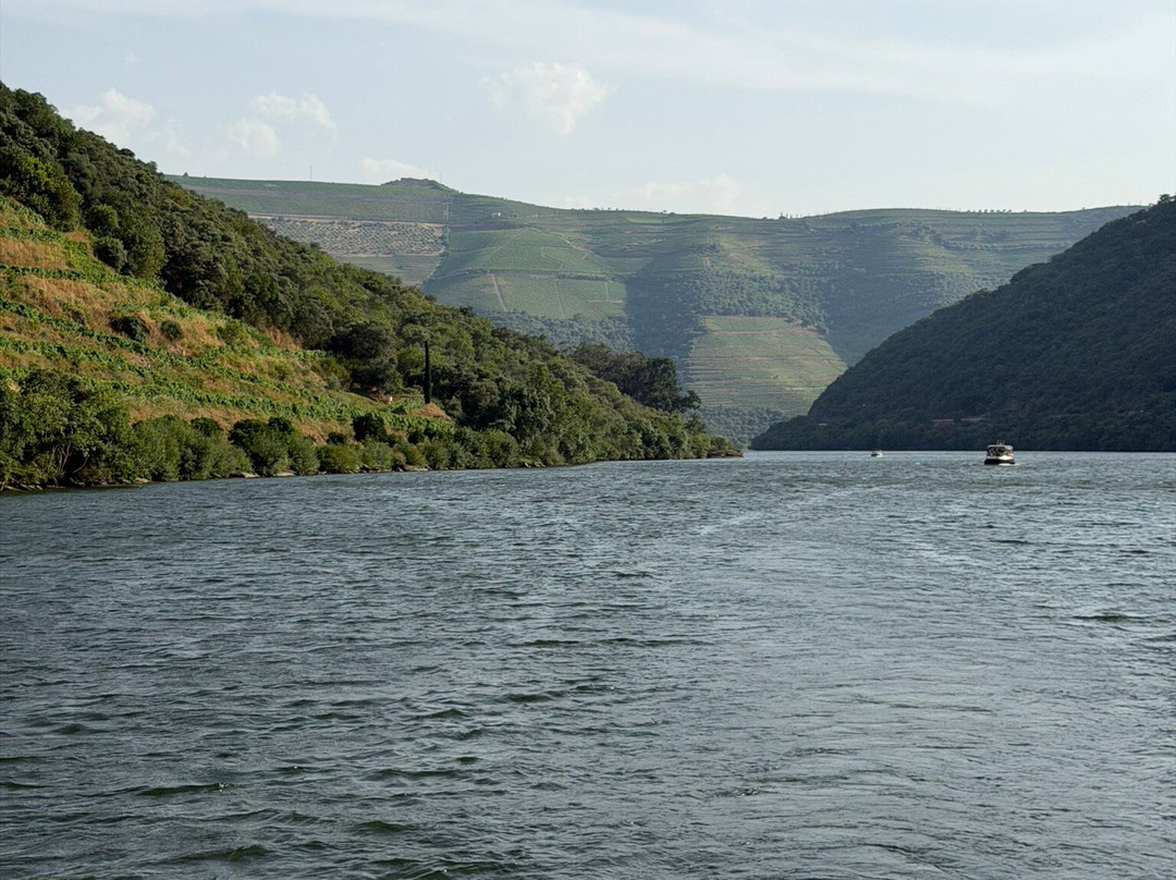 Anima Durius Douro River Cruises-Pinhao必去景点