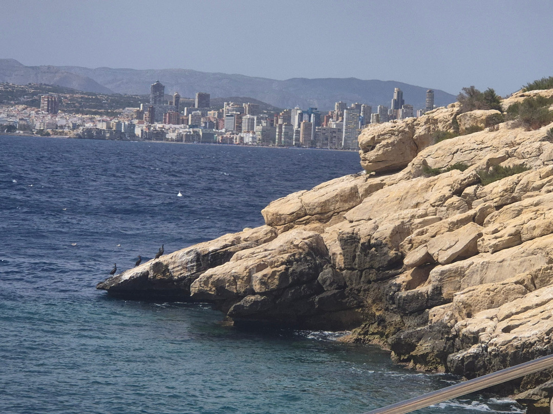 Isla de Benidorm-贝尼多姆必去景点