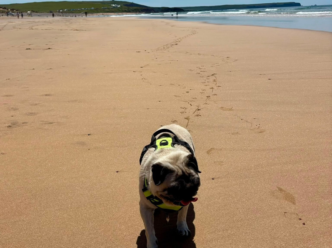 Freshwater West-Angle必去景点