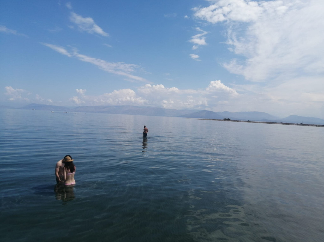 Captain Homer's Boat Trips-Messonghi必去景点