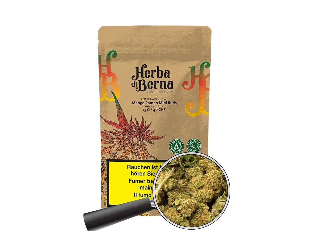 Herba di Berna-伯尔尼必去景点