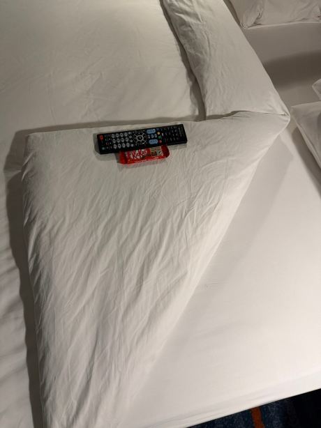 卢萨卡丽笙酒店-旅行者