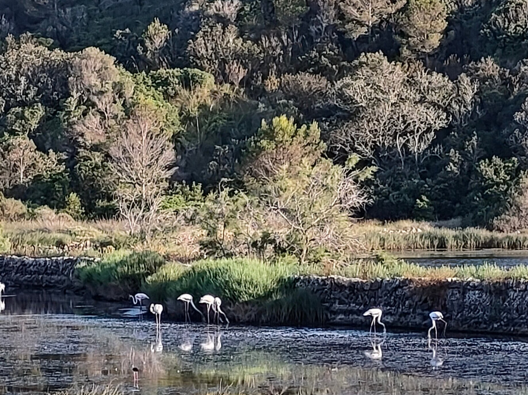 Nature Parc of S'Albufera des Grau-米诺卡必去景点