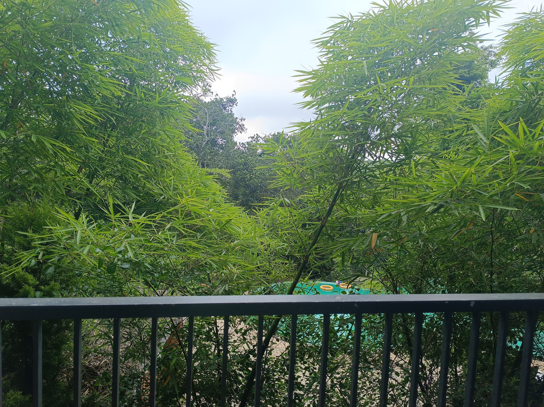 Crystal Kuruva Nature Resort & Spa主图