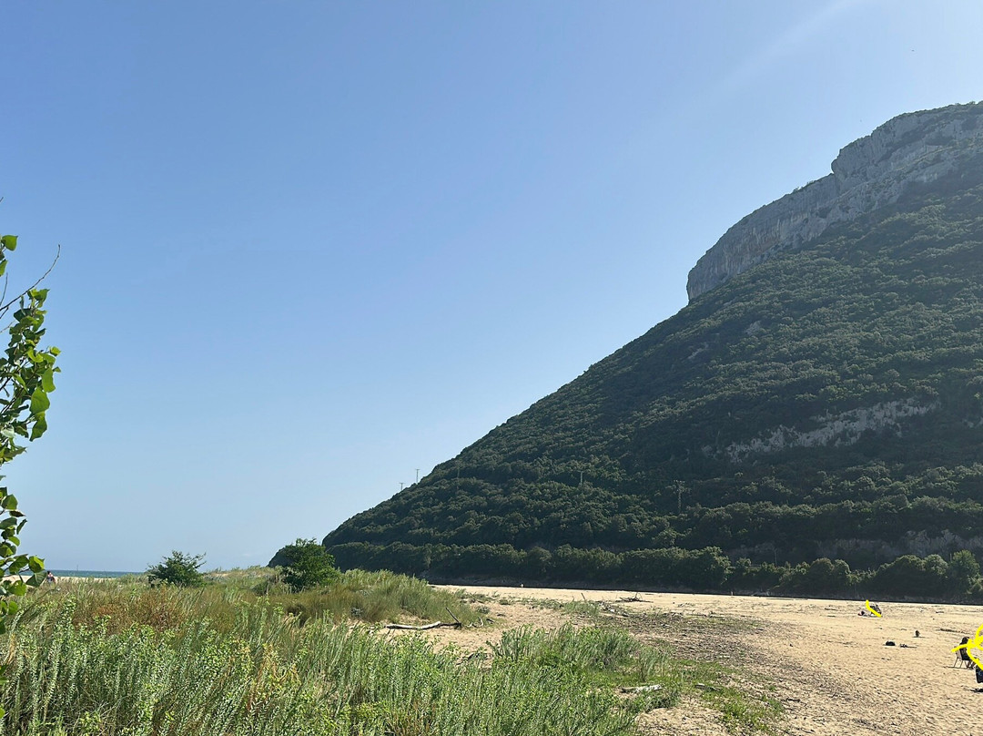 Playa de Orinon