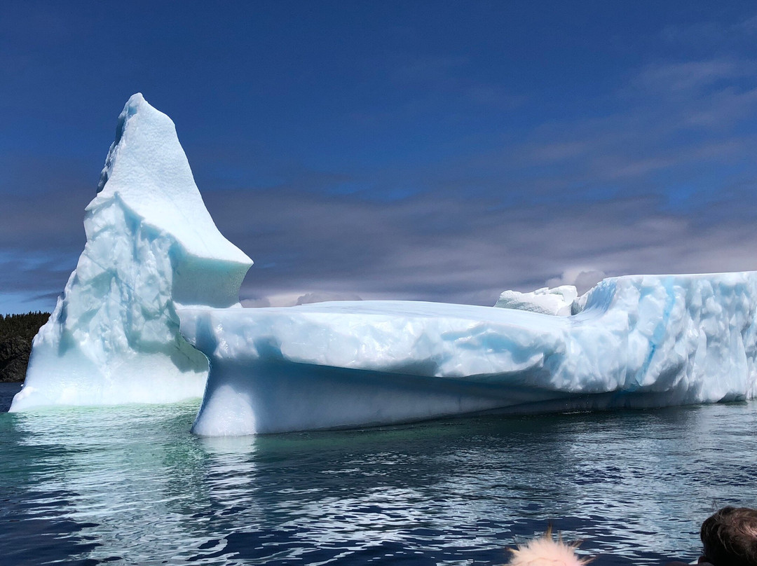Twillingate Adventure Tours-Twillingate必去景点
