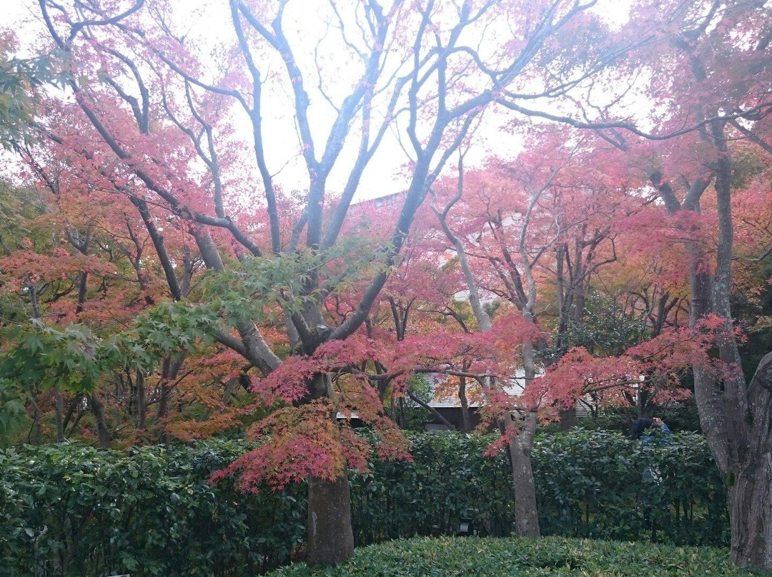 MOA美术馆-热海市必去景点