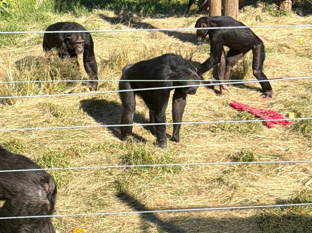 Ates Africa - Tours & Safaris-开普敦中心区必去景点