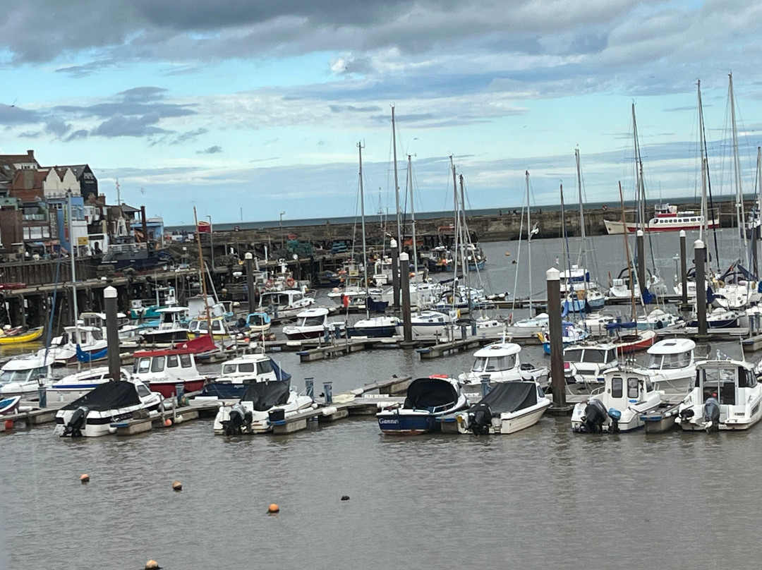 Salt On The Harbour