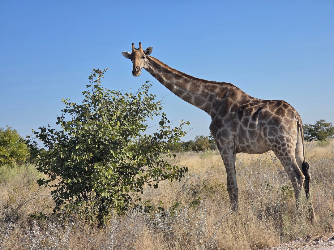 Namibia Tours & Safaris-斯瓦科普蒙德必去景点