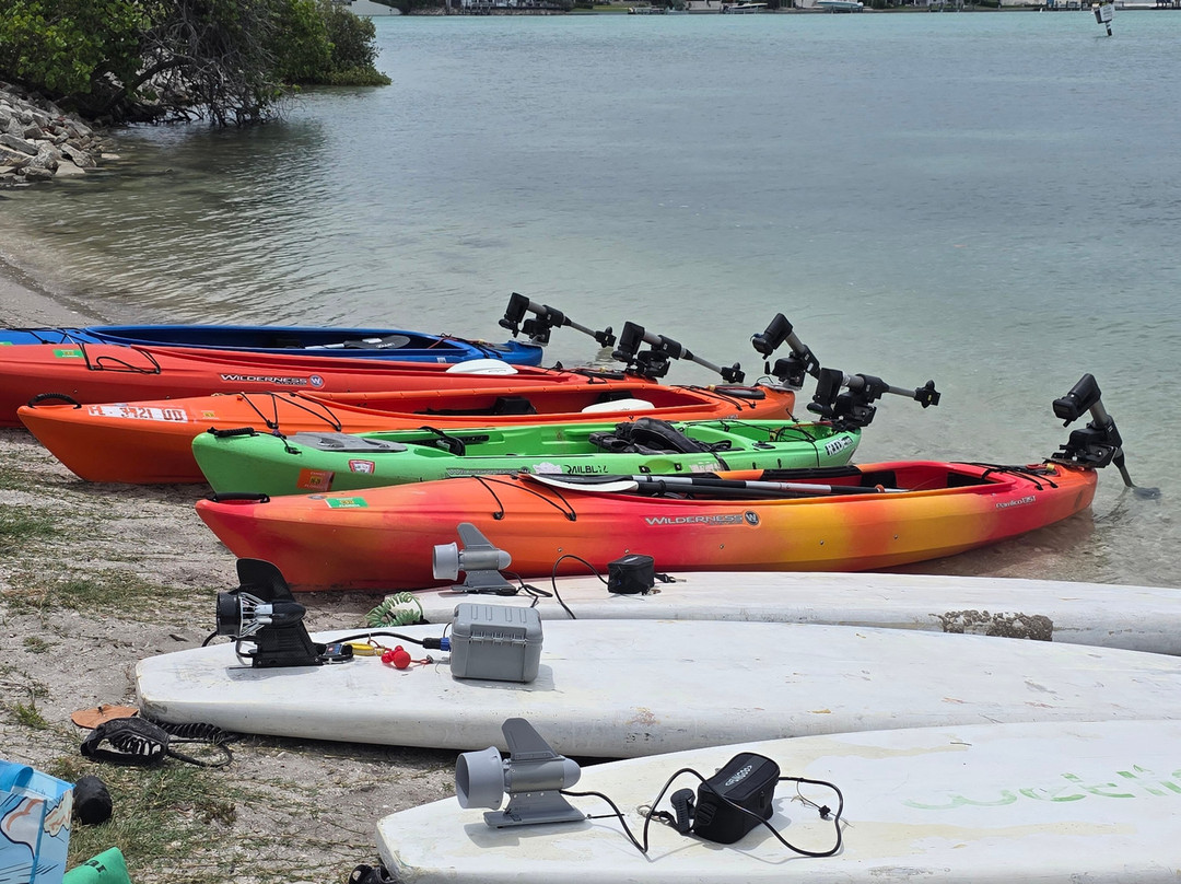 Sarasota Paddleboard Company-萨拉索塔必去景点