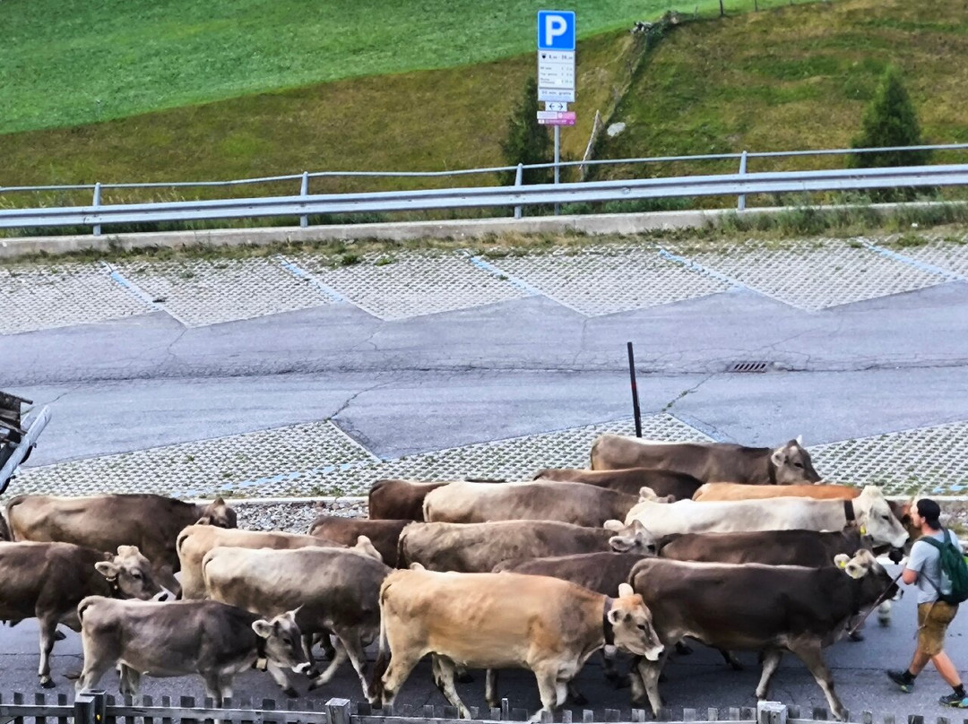 Anigglhof主图