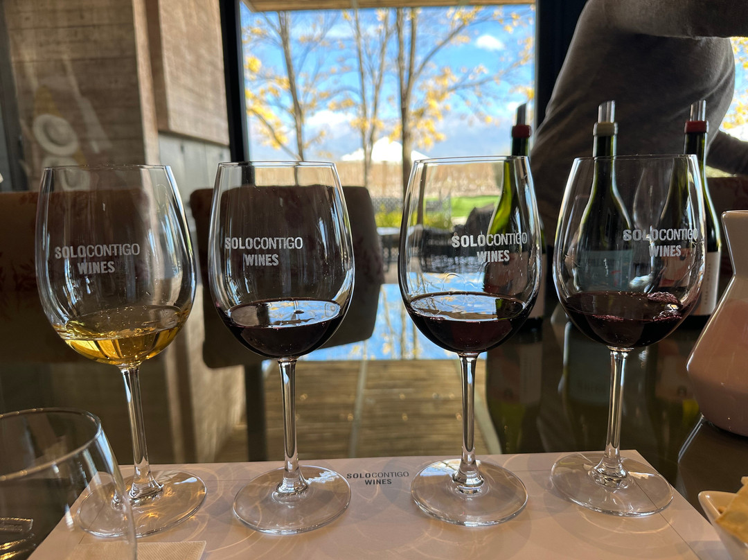 Solo Contigo Wines-Los Sauces必去景点