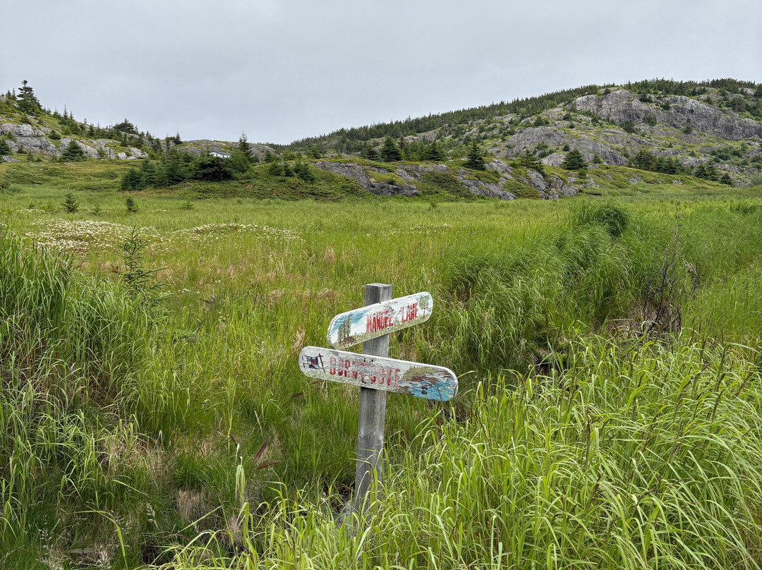 Adventures Newfoundland-Fortune Harbour必去景点