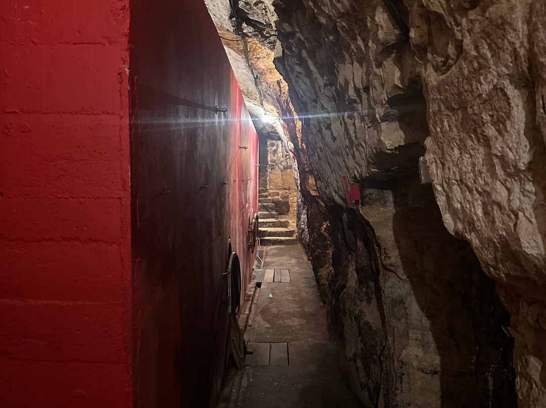 Bodegas Lecea-San Asensio必去景点