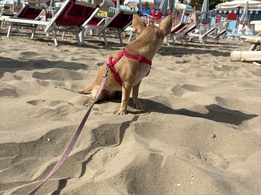 La Spiaggia delle Donne-里乔内必去景点