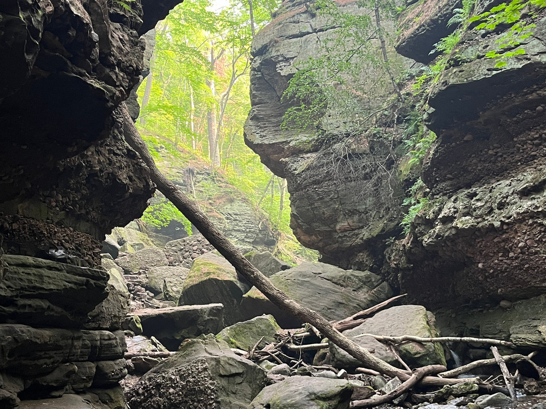 Parfrey's Glen-巴拉布必去景点