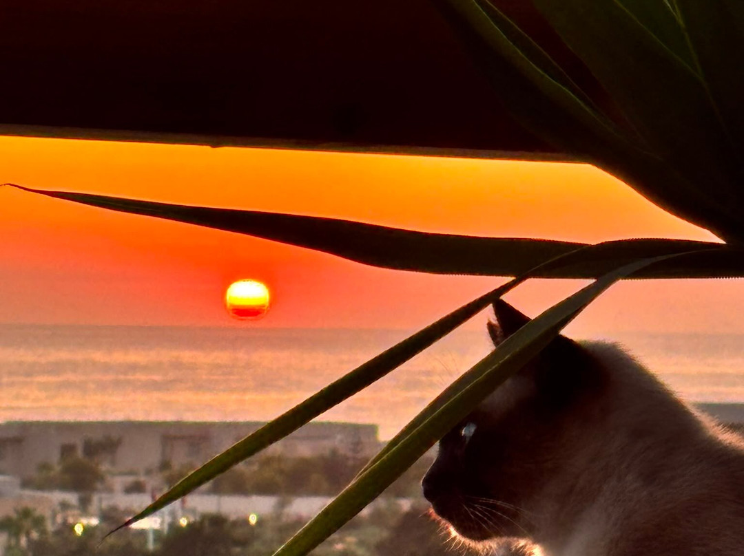 Azul Guesthouse Taghazout Bay主图