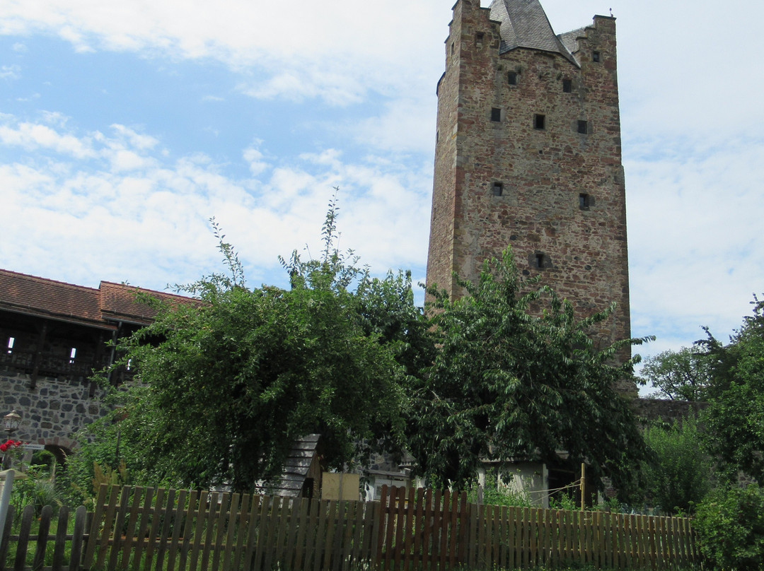 Grauer Turm-Fritzlar必去景点