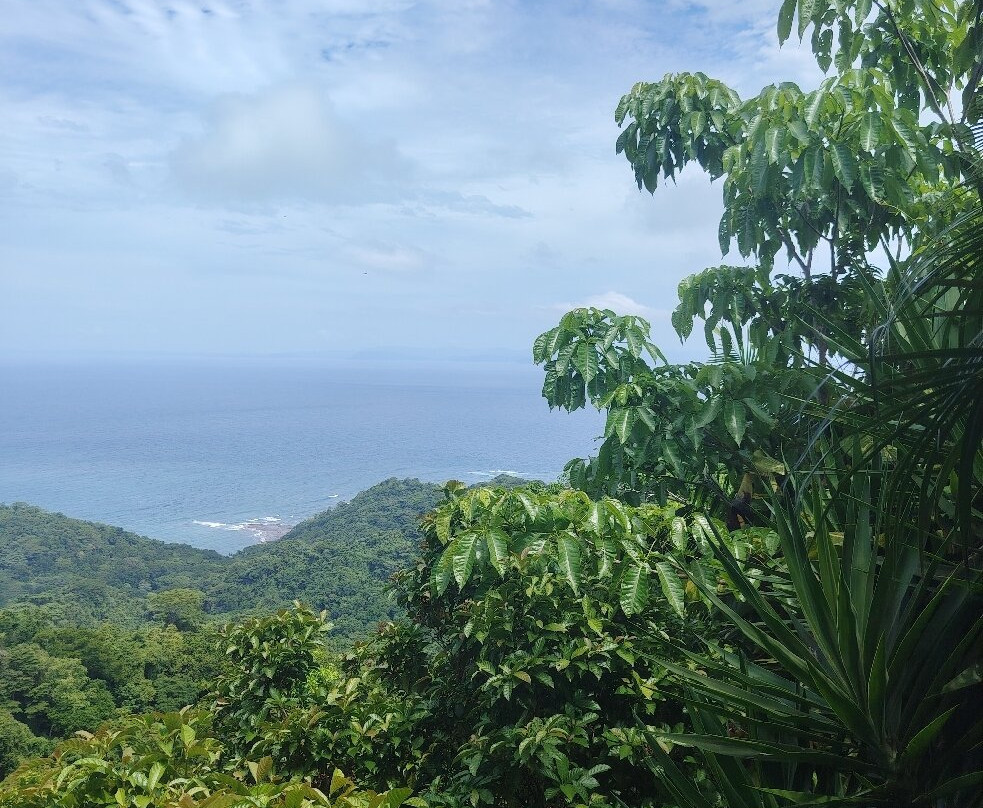 Carara National Park-卡拉拉必去景点