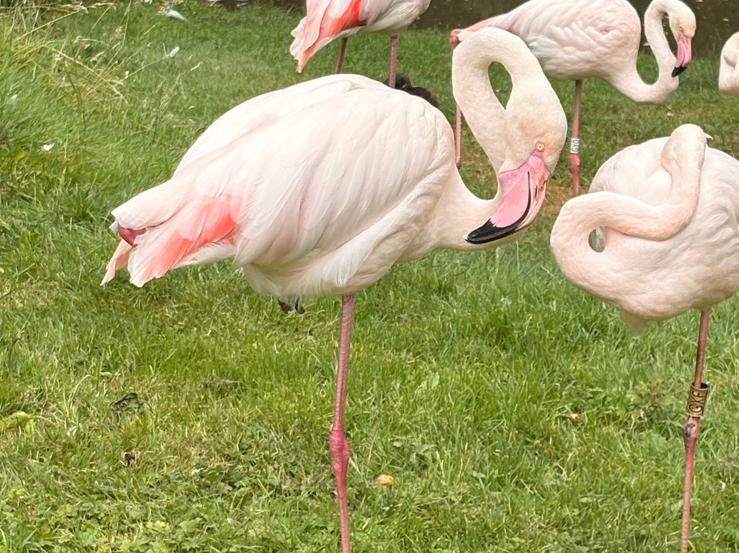 The Lake District Wildlife Park-Bassenthwaite必去景点