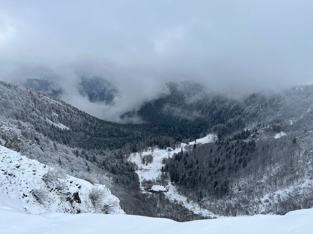 The Northern Vosges Regional Nature Park-Saint-Maurice-sur-Moselle必去景点