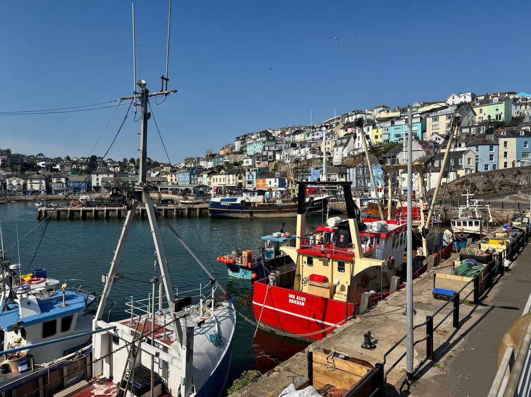 Brixham Harbour-布里克瑟姆必去景点