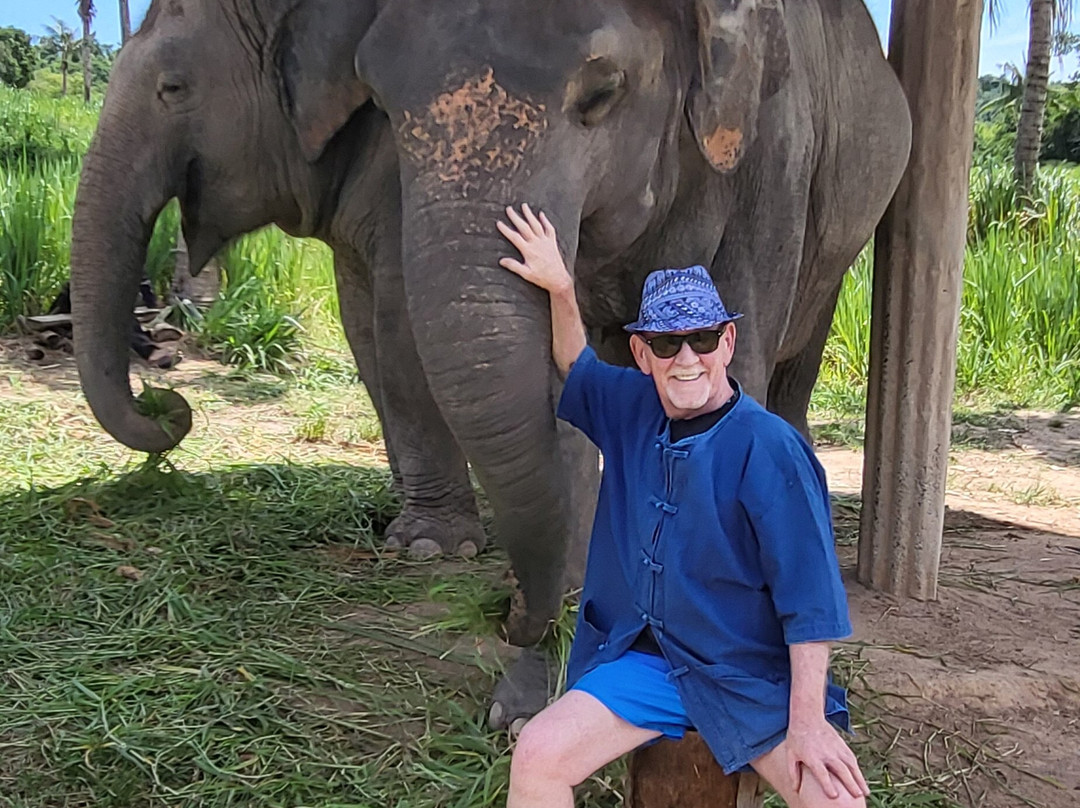 Living Green Elephant Sanctuary-清迈必去景点
