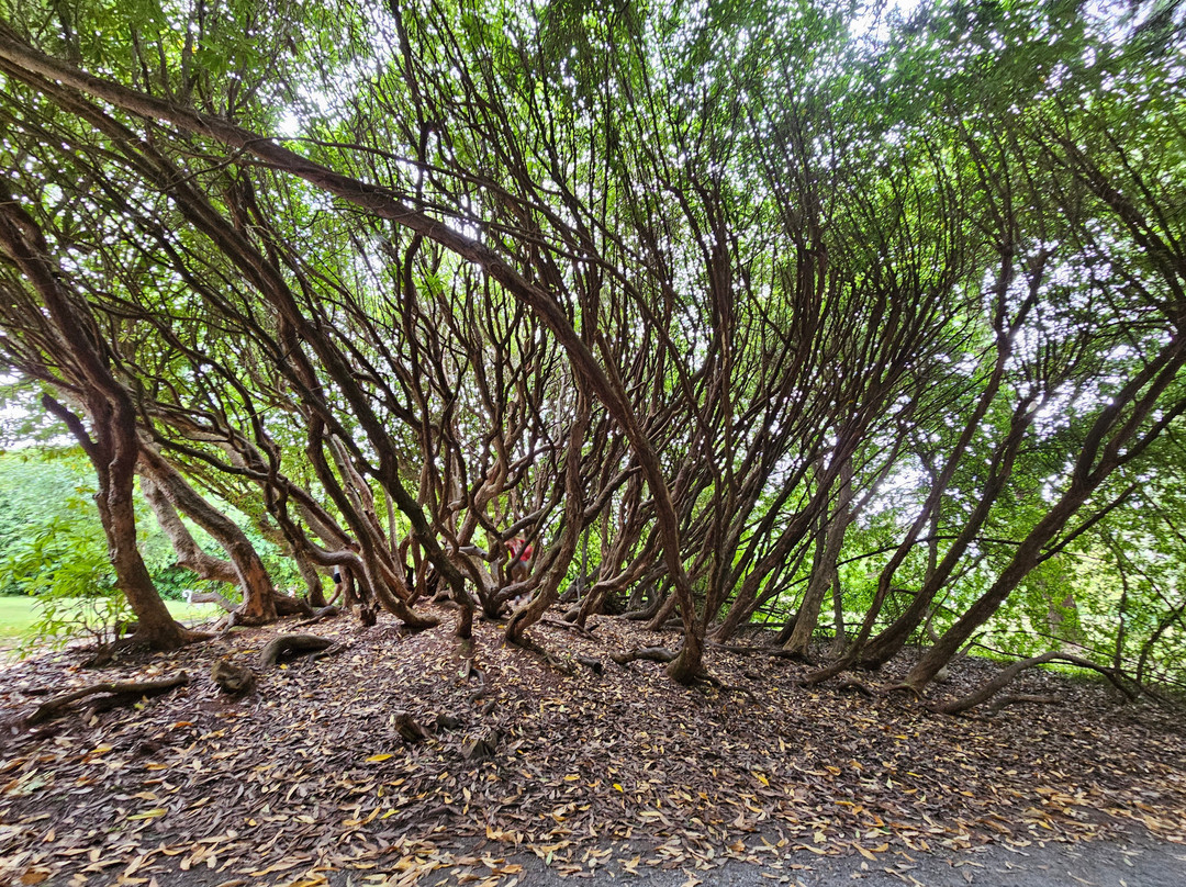 Woodstock House and Gardens-基尔肯尼必去景点