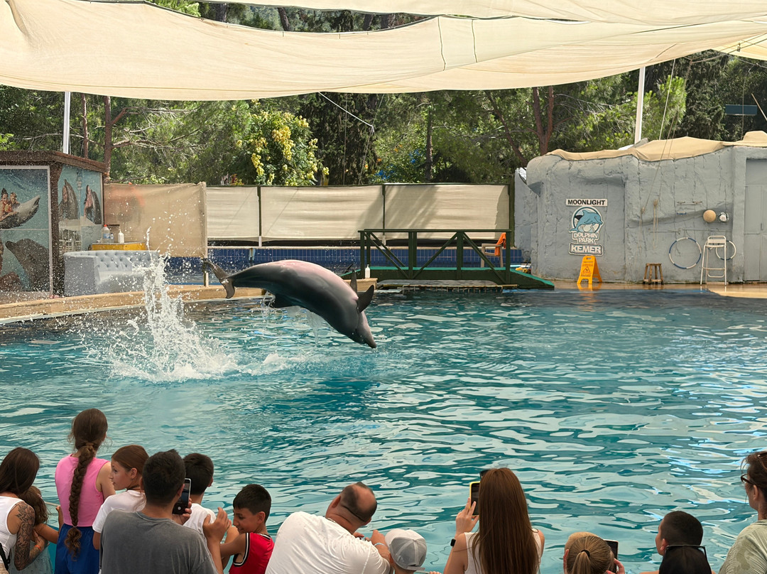 Kemer Dolfin Park-凯梅尔必去景点