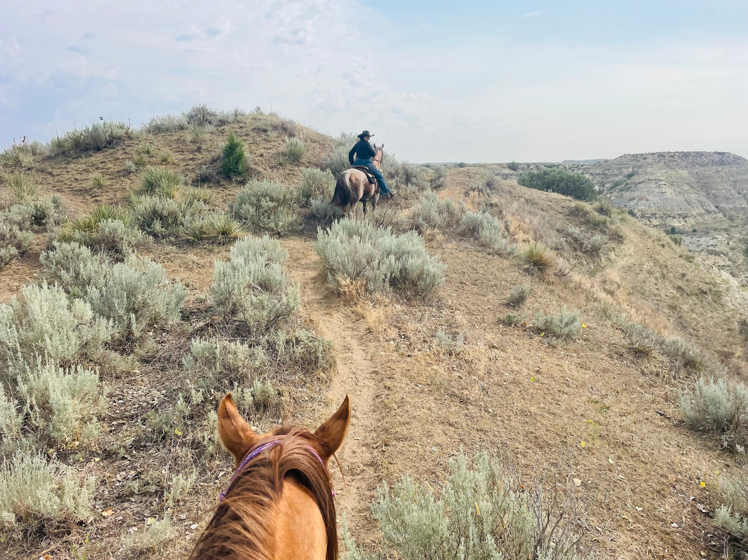 Medora Riding Stables-Medora必去景点