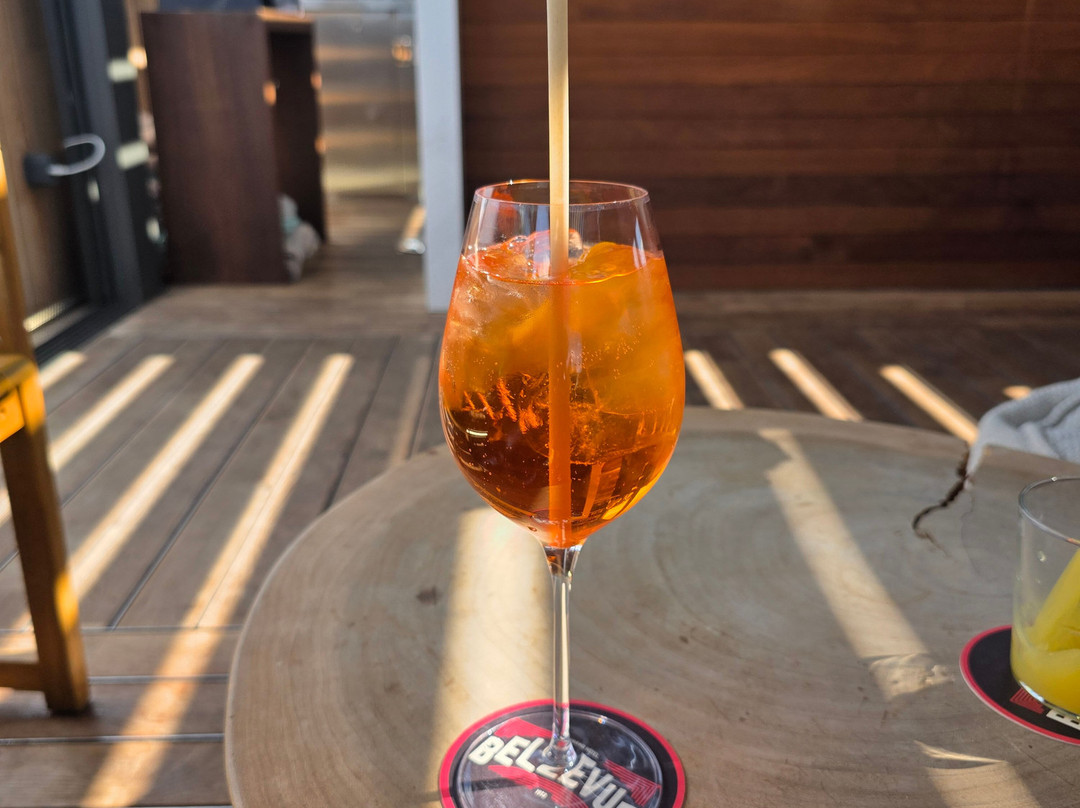 贝尔维尤大酒店主图