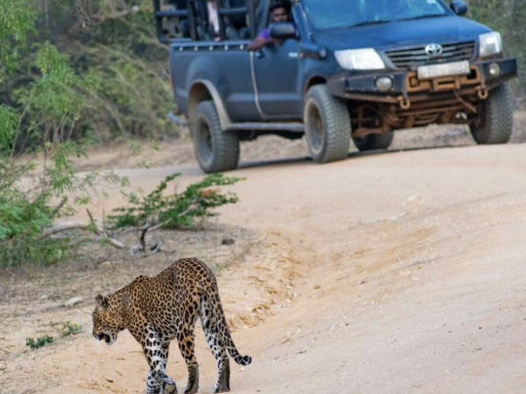 Smart Tours Sri Lanka-科伦坡必去景点