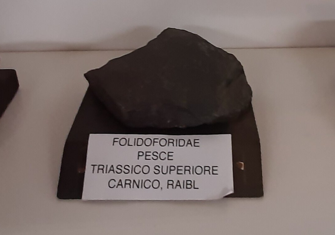 Polo Museale Cave del Predil-Cave del Predil必去景点